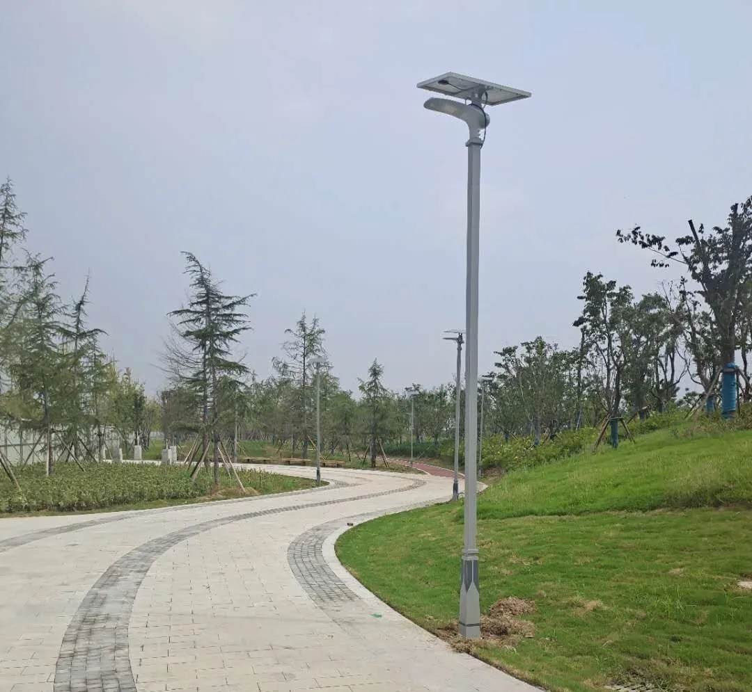 晴空排云雁高飛，源碼項目掀熱潮